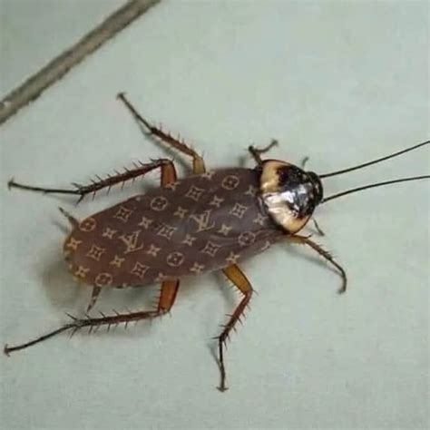 cockroach louis vuitton